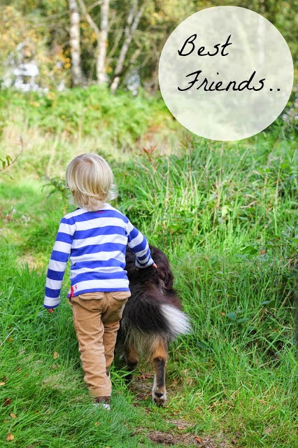 a boy and his dog