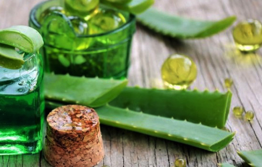 CARA ALAMI MEMUTIHKAN WAJAH DENGAN LIDAH BUAYA - ideaidealy