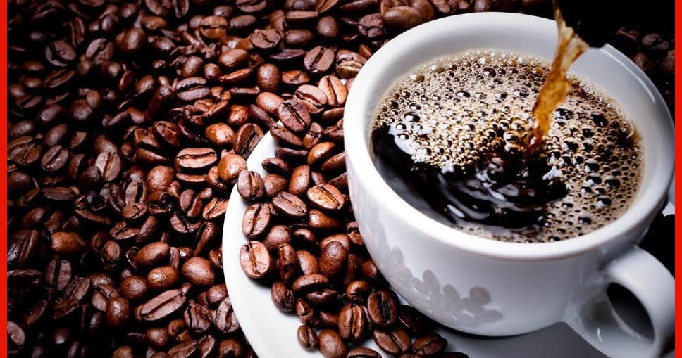 10 Most Expensive Coffee Beans Brands In The World