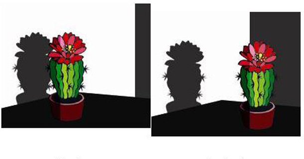 CAHAYA - SangPengajar.com