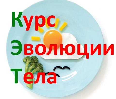 Курс Диетологии