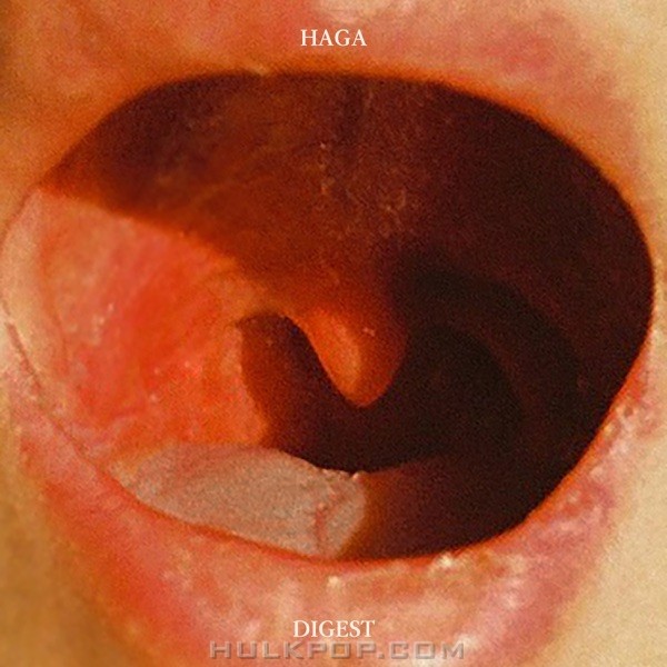 HAGA – Digest – EP