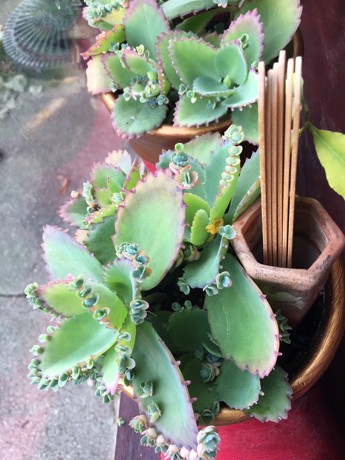 52 Sandwiches Breakfast Sandwich 148 Berry Pike Cafe aka Something