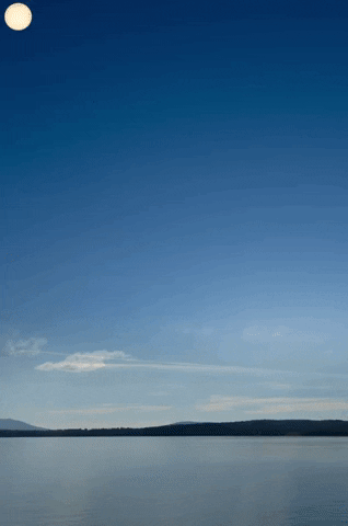 tumblr_ppt5noQTFf1ve10t6o1_400.gif
