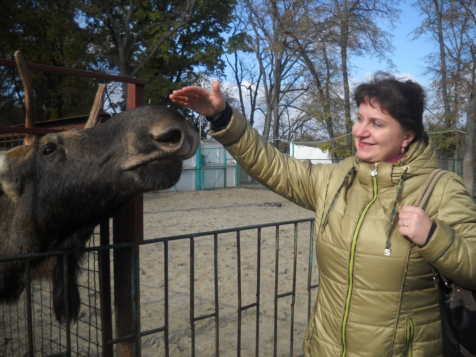 усадьба носкова парк добрый кислячиха. новые районы красноярска. парк добрый. деревня кислячиха кинешемский район парк добрый. парк добрый ивановская область кинешма.