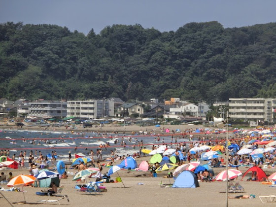 鎌倉の海 夏 ３つの海水浴場 由比ガ浜 材木座 腰越