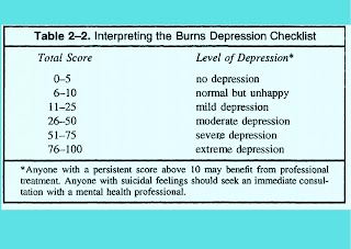 Interpretation of burn Depression Checklist