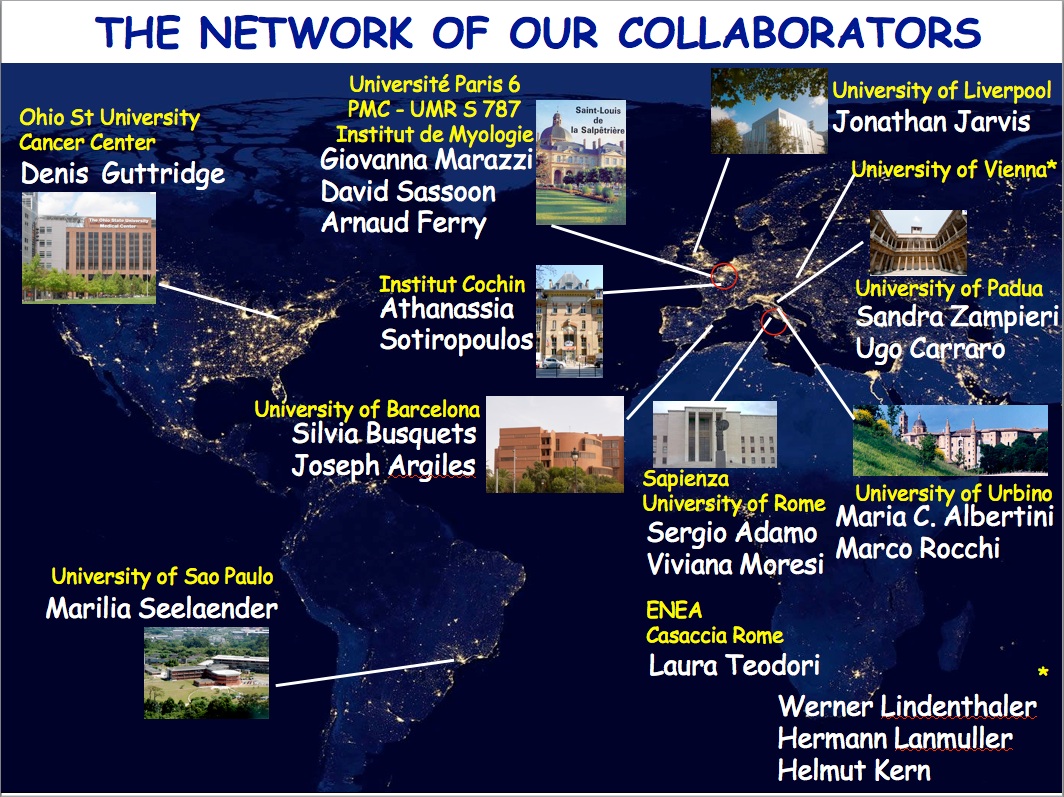 THE NETWORK OF OUR COLLABORATORS 2017