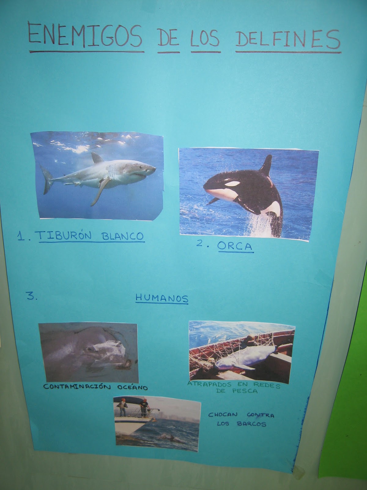 HADA DE COLORINES ¿SABES QUIÉNES SON LOS ENEMIGOS DE LOS DELFINES? HADA DE COLORINES ¿SABES QUIÉNES SON LOS ENEMIGOS DE LOS DELFINES?