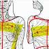 Do This One Technique Before Bedtime To Help Drain Your Lymph Glands