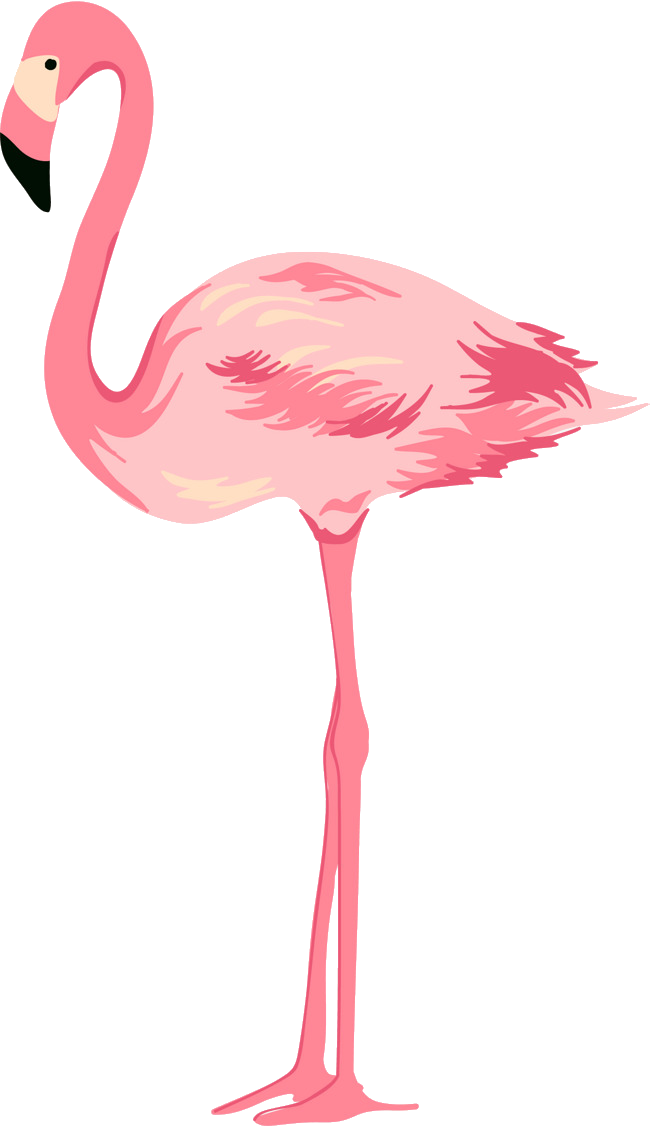 47+ Imagem Jpg Para Png Gif