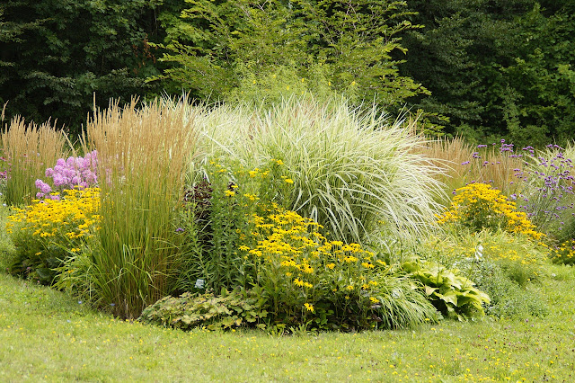 Volumen vegetal de un jardín