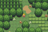 Pokemon Blossom Screenshot 02