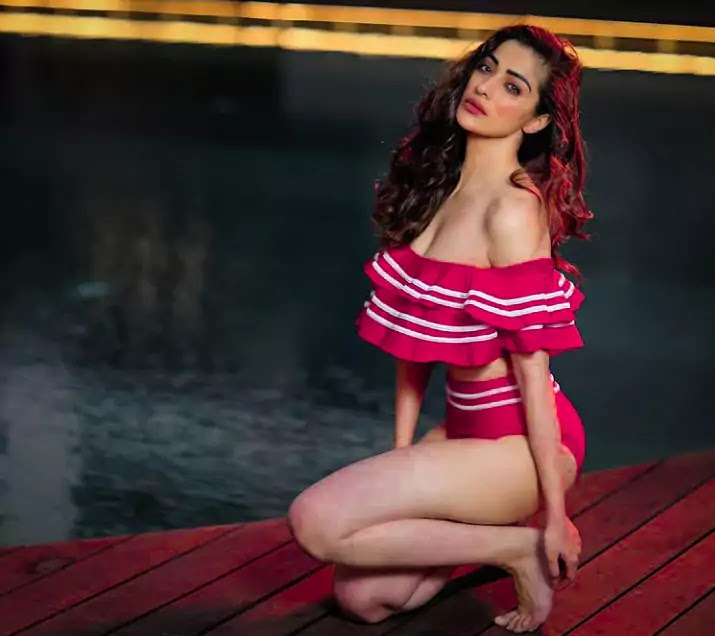 Raai Laxmi Bikini Photos