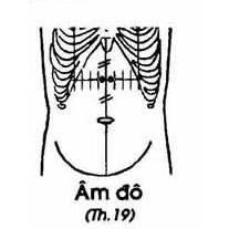Vị trí huyệt âm đô