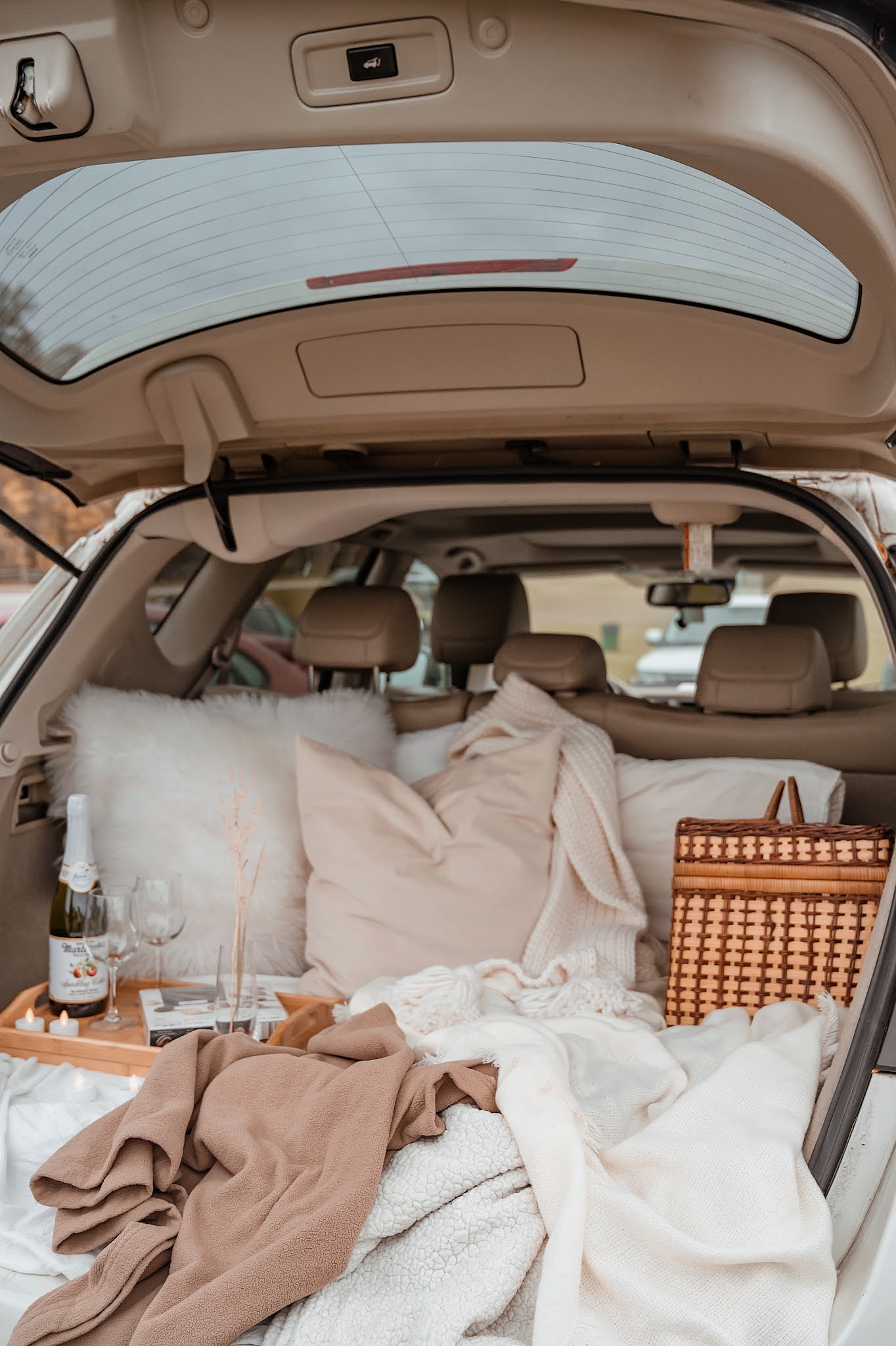 Halloween Drivein Movie at Hartwood Acres Park — I AM CHRISTINA