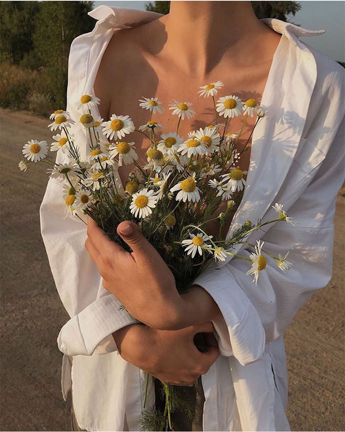 Compilation | Late-Spring Inspiration: Coming Up Daisies