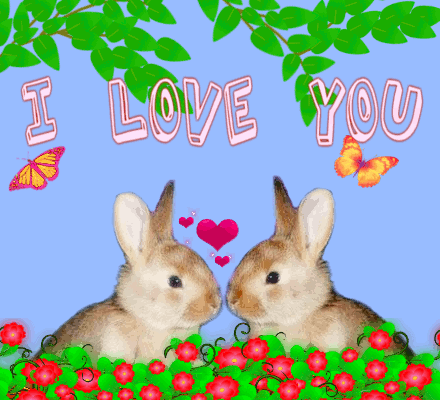 Cute I Love You Gifs With Hearts and Animals | Random Girly Graphics