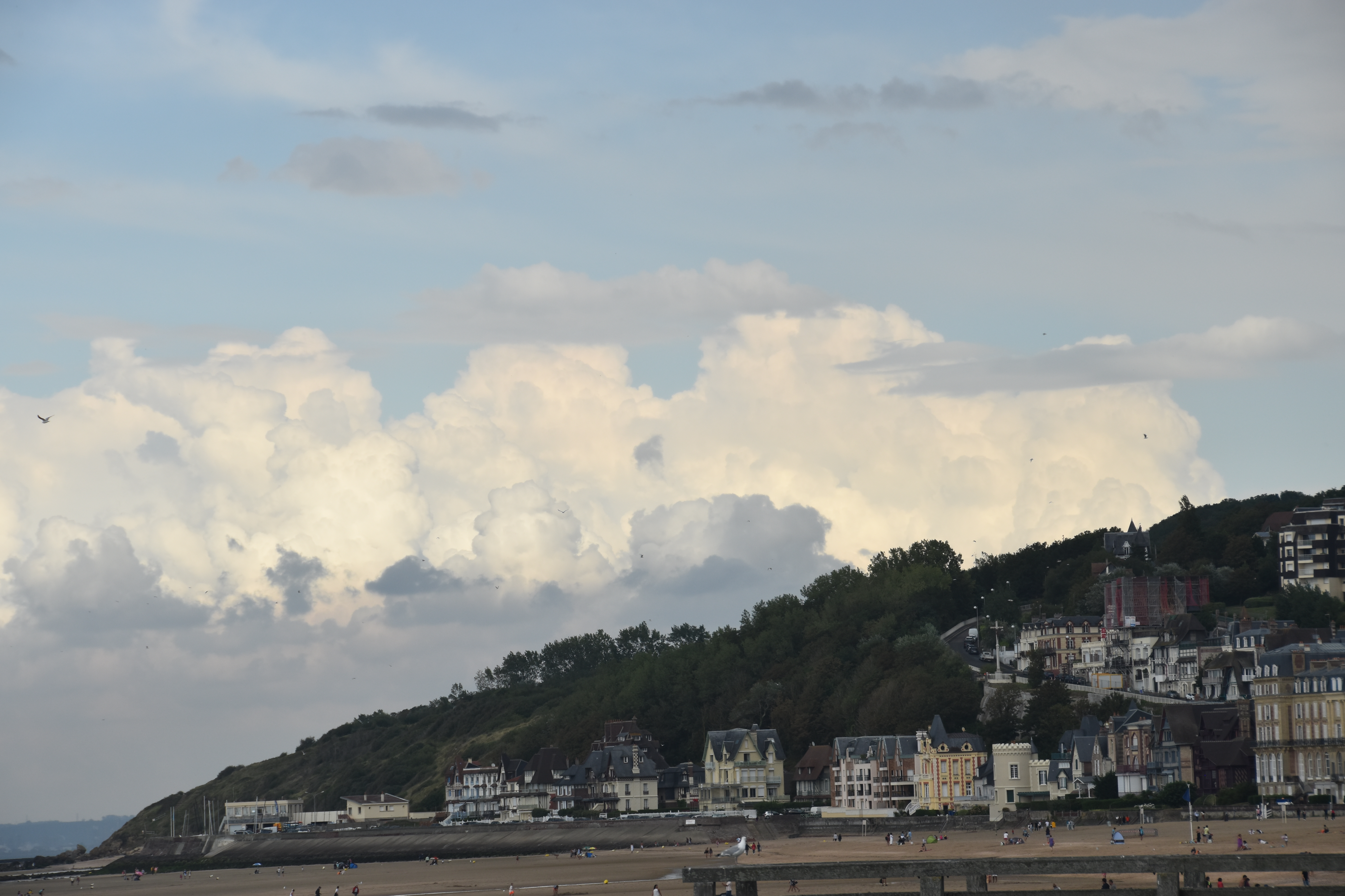 L’attribut alt de cette image est vide, son nom de fichier est DSC_0301.JPG.