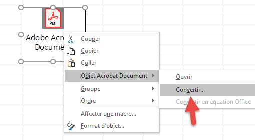 Convertir Objet PDF dans Excel