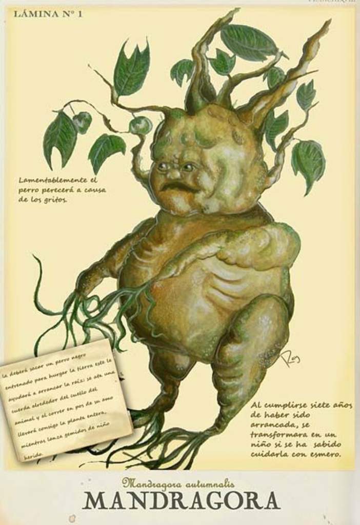Мифические существа книга с картинками