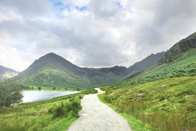 Buttermere, Fleetwith Pike, Tree, lake, Photo, Haystacks, Lake District walks, Alfred Wainwright, Best View