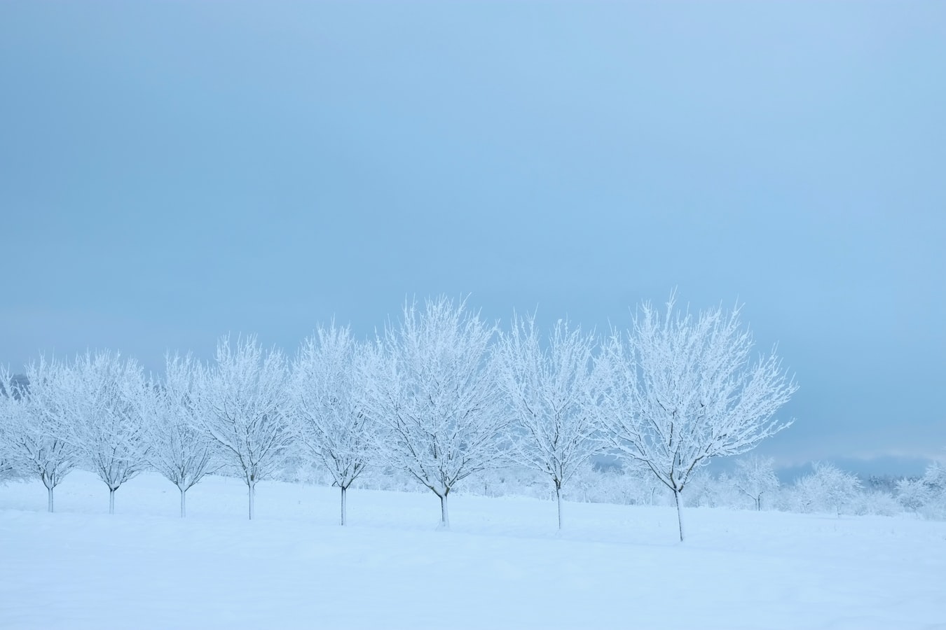Зима воздух. Зимний воздух. Белая воздушная зима. Фото голубой зимний воздух. Исландия зимой атмосфера пасмурно.