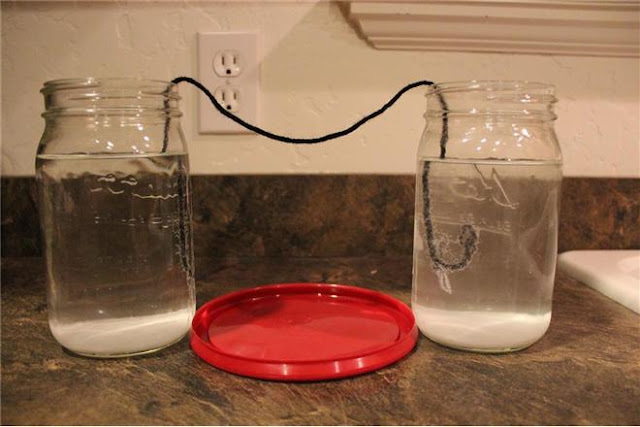 The Manwarings: Kaylee's 5th Grade Science Project