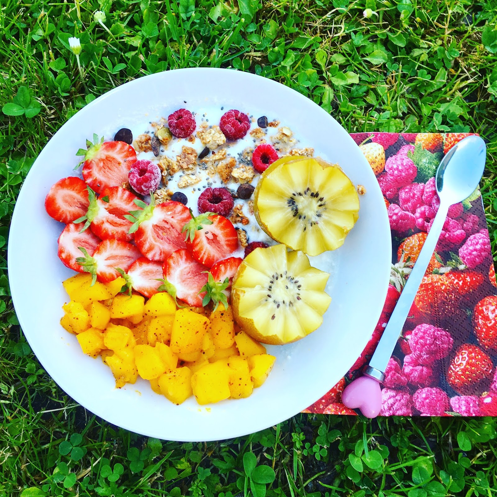 Mes recettes sans gluten (mais 100 plaisir !) Granola sans gluten et