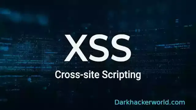 cross site scripting (XSS)