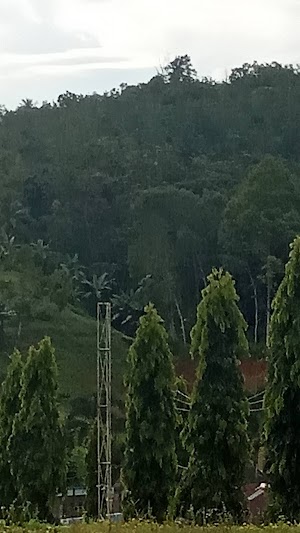 the beauty nature wallpaper on village in indonesia
