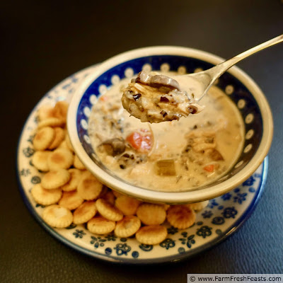 image of a bowl of creamy chicken & wild rice soup on a plate with a pile of oyster crackers