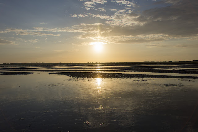 Langeoog, Watt, Nordsee, Ostfriesland, Wattwanderung, Ossi, Wattenmeer, Weltnaturerbe, 