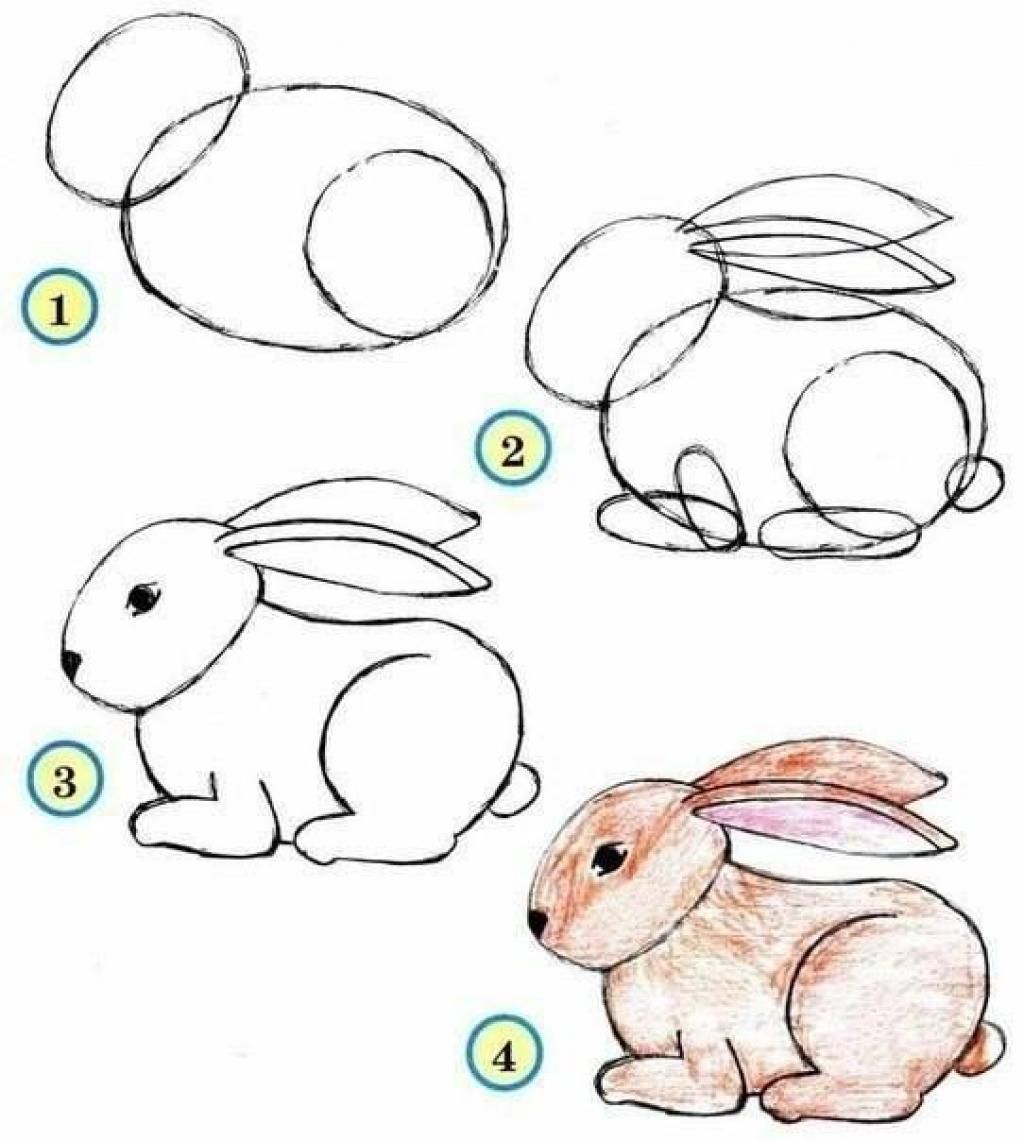 كيفية رسم ارنب خطوة بخطوة للاطفال بالقلم الرصاص
