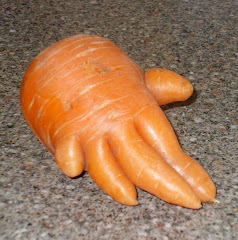 Qui oserait manger cette carotte?