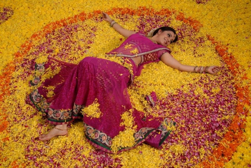 Nisha Agarwal in saree, Nisha Agarwal legs