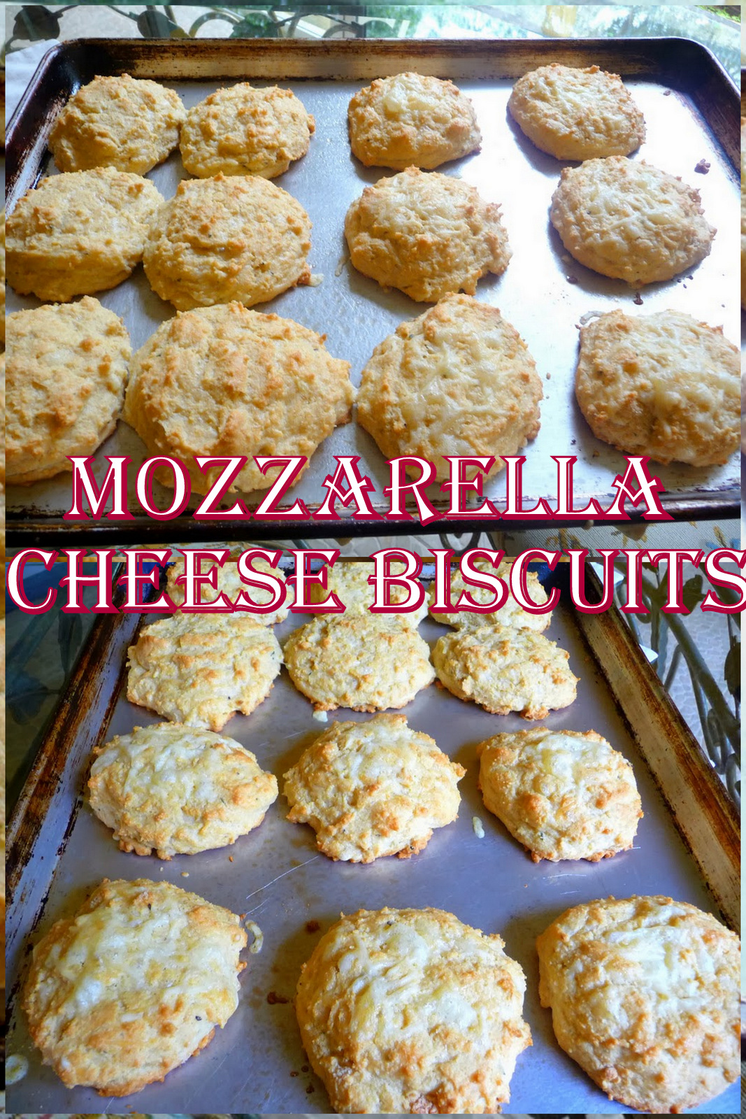 SPLENDID LOWCARBING BY JENNIFER ELOFF MOZZARELLA CHEESE BISCUITS AND