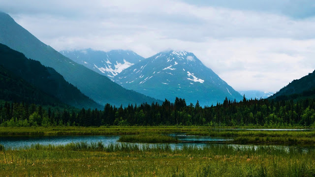 Wallpaper lake, mountains, forest, landscape