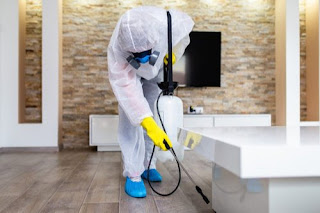 sanitizing your house