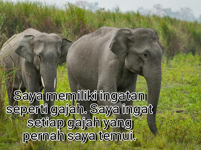Balas budi seekor semut kepada merpati