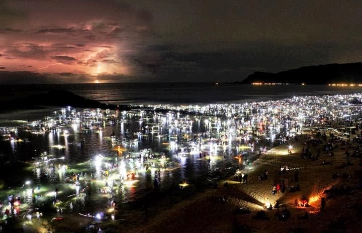 tradisi bau nyale di lombok 