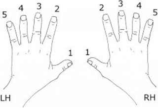chromatic scale fingering