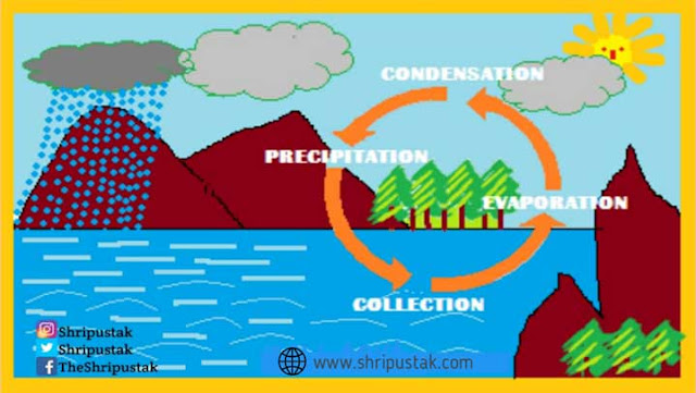 Water cycle kya hota hai - ShriPustak-हर विषय का ज्ञान हिंदी में