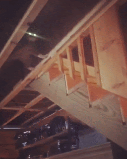 Cute Funny Cats Dogs Gif Collection 1 Cuteanimalshare Com