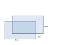 Cara Pemeliharaan Ikan Louhan Agar Cepat Jenong Istana Aquarium