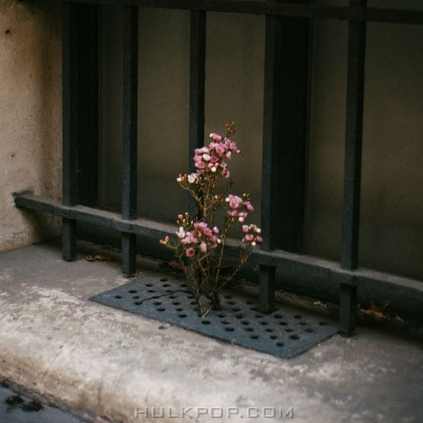 DUYI – FLOWER – Single