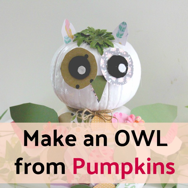 Cutest Owl Made from Pumpkins and Scrap Paper - Crafts a la mode