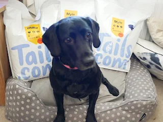 springador posing with bags of tails food 