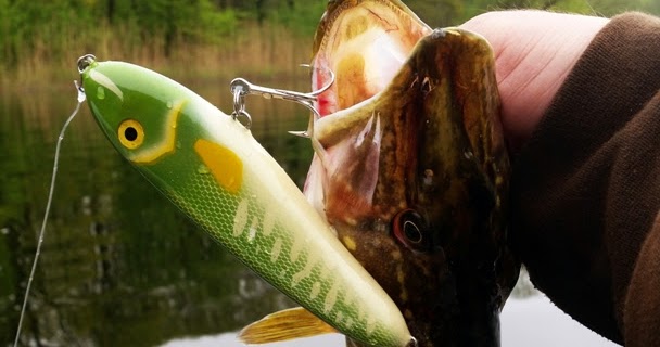 Rosa Wolkchen Marz 2018