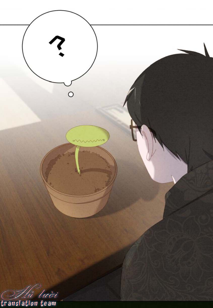 Đọc truyện Thế giới của một chú mèo - Chapter 24